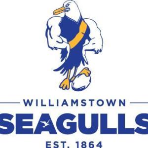 Seagulls logo